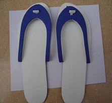 custom Slipper